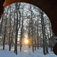 Тринадцатые пюхтицкие чтения