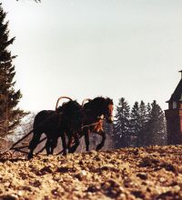 На пашне