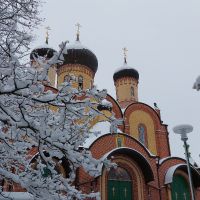 Двенадцатые пюхтицкие чтения